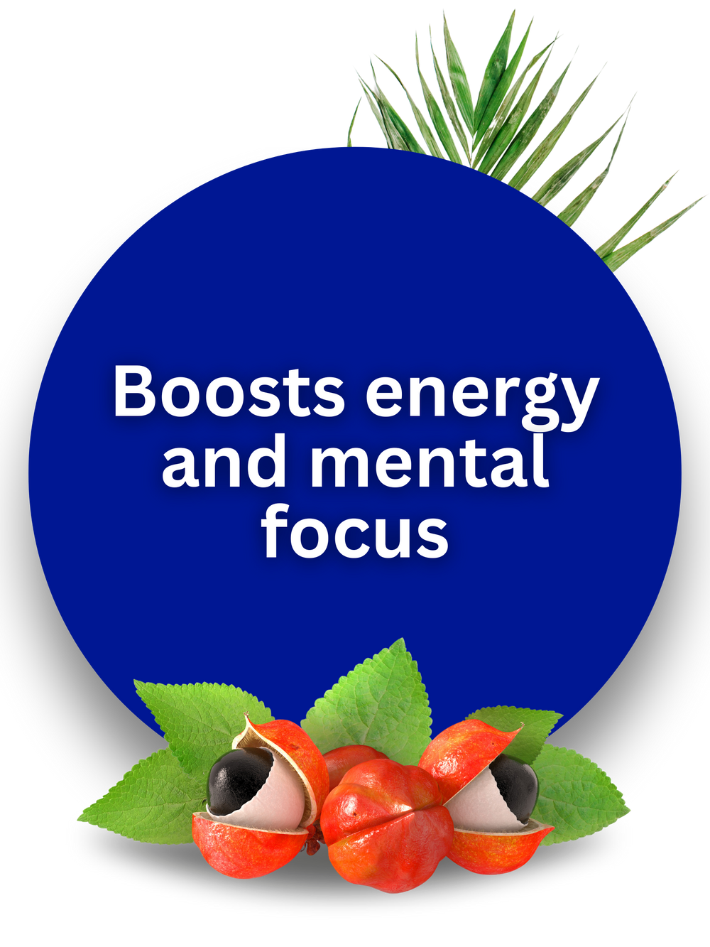 Boost energy and mental focus