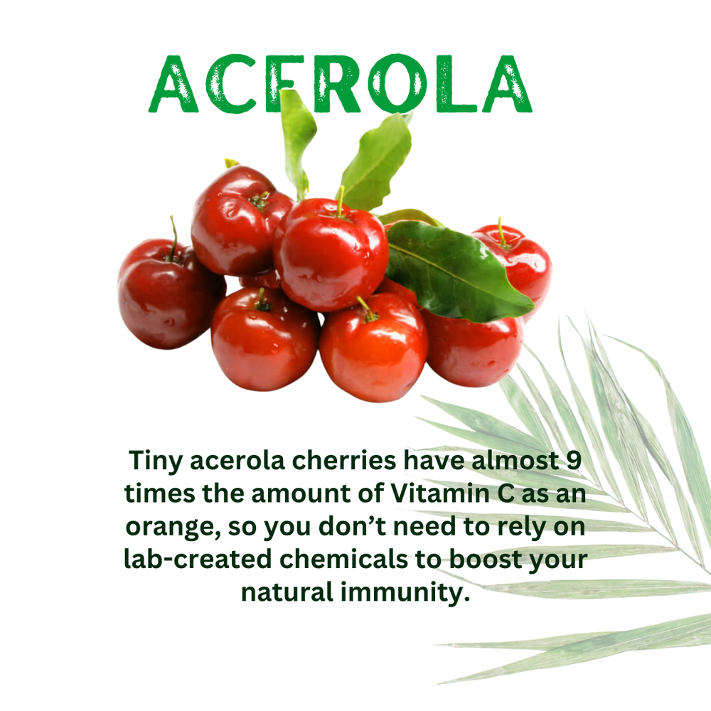 Acerola supplement 