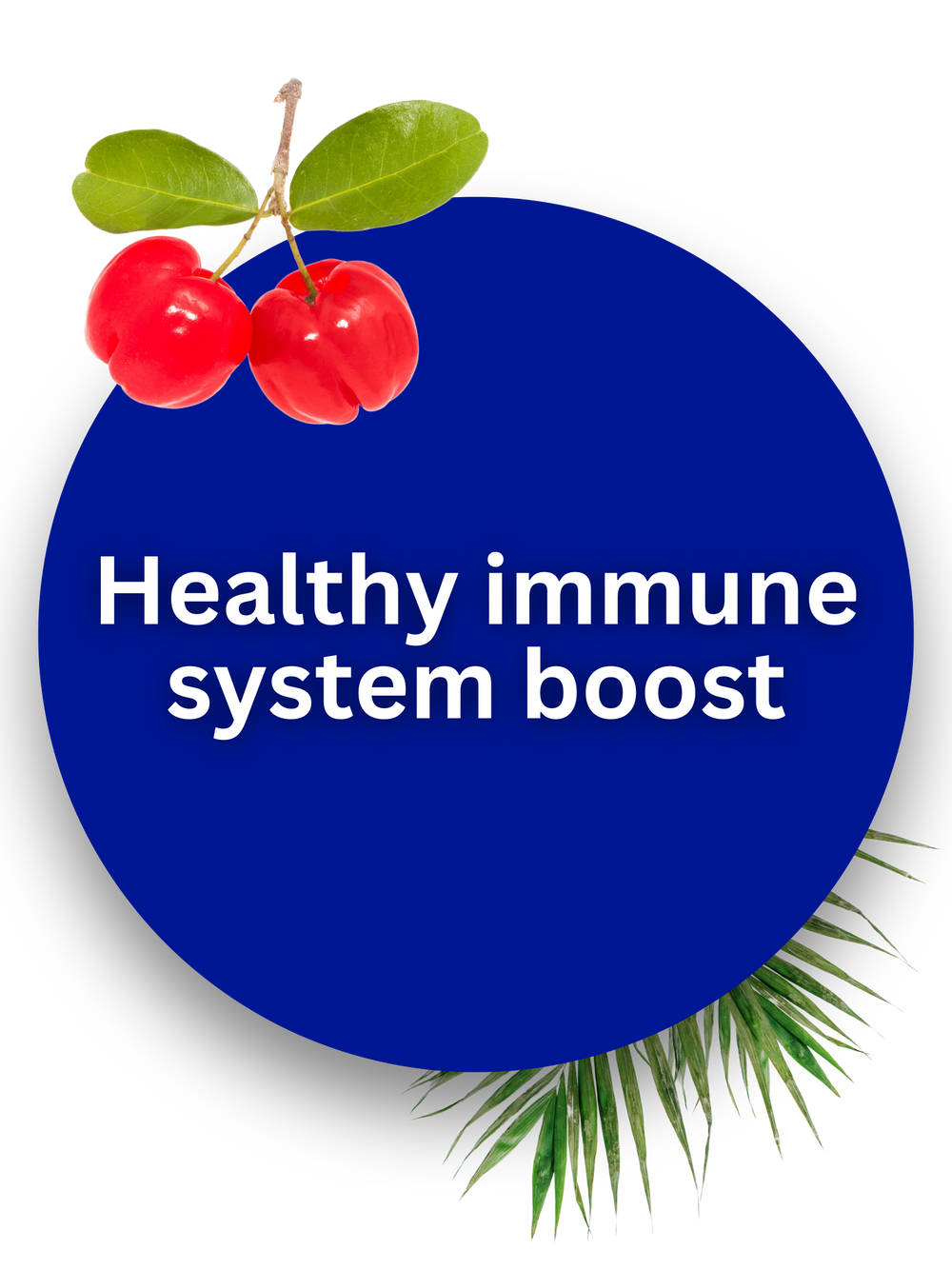 Boost immune system