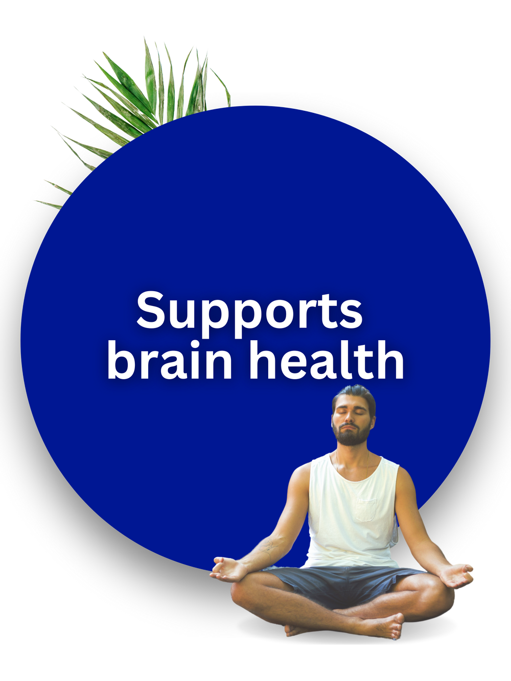 Brain health support